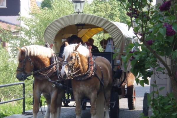 Bild 4 von Landgasthaus Jägerhof